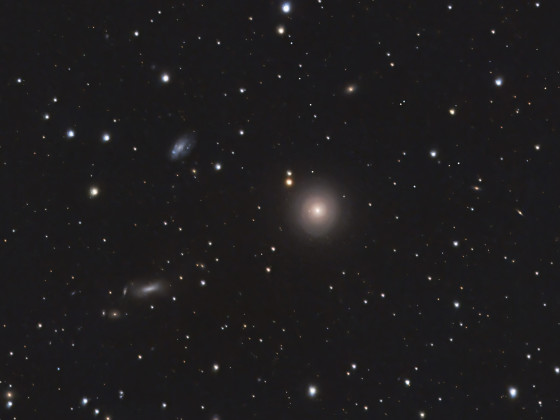NGC6340 (m), IC1251 (lo), IC1254 (lu)