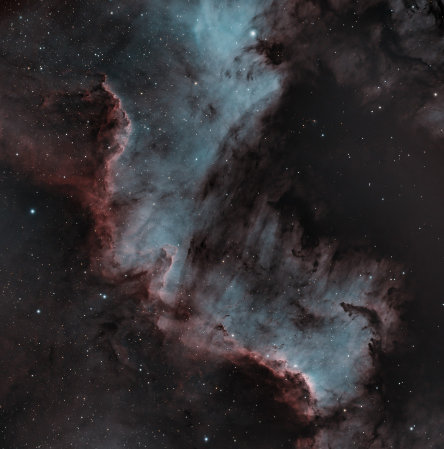 NGC7000 - Cygnus Wall