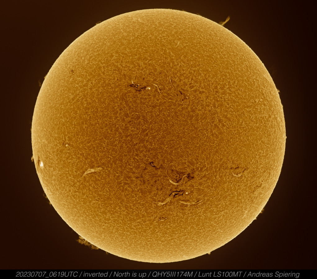 Chromosphäre der Sonne  vom 7. Juli 2023, invertiert