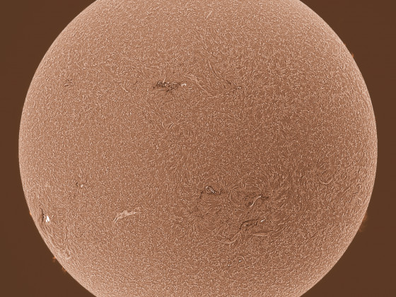 Sonne in H-alpha am 07.07.2023 (invertiert)