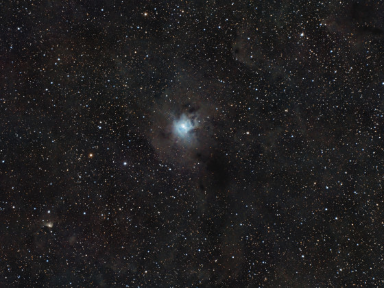 NGC7023 (Irisnebel) mit Dunkelwolken