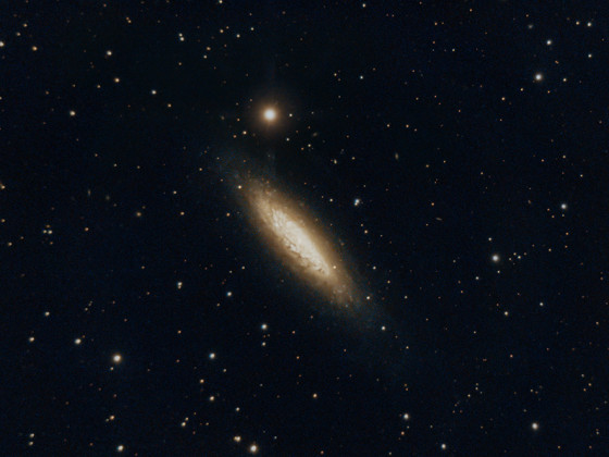 NGC6503 "Lost in Space"-Galaxie