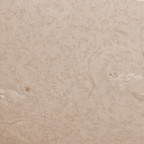 Sonne vom 30.04.2026 in Halpha
