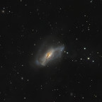 NGC 2146
