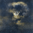 Teddybär Nebel NGC 7822