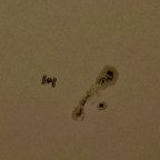 ISS kreuzt die Sonne am 20.08.24 - CROP