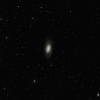 NGC 2903 - 3h 45min - RGB - OSC ToupTek 2600 Color - Skywatcher 8" Quattro f/4