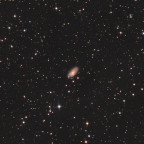 NGC 6643, eine Galaxie im Sternbild Drache