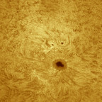 Sonne in H-Alpha - AR2882 - 13.10.2021