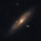 M31
