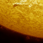 Hα-Sonne vom 24.07.2021