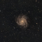 IC342 (Hidden Galaxy, Maffei1) - 1,5 Stunden - RGB - OSC ToupTek 2600 Color - Skywatcher 8" Quattro f/4
