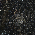 NGC 7789 (29,5 min, Siril, Graxpert, Siril, Denoise)
