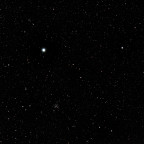 Sirius und "der kleine Bienenkorb" M41 mit der Canon G15
