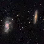 M66-M65 Tandem im Leo Triplett