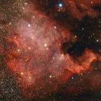 NGC7000 Nordamerikanebel
