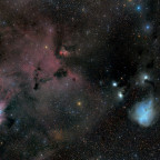IC447/IC2169 (Dreyer`s nebula)