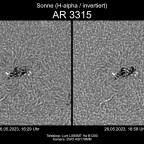 Sonne in H-alpha am 26.05.2023 (invertiert) - AR 3315