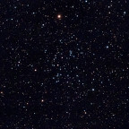 NGC7209 / Mel 238 Sterneidechsen-Haufen mit der Vaonis Stellina