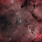 Elefantenrüssel (IC1396) - 4,5 Std. - Schmalband+RGB - OSC ToupTek 2600 Color - Skywatcher 8" Quattro f/4