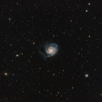 Galaxien in Ursa Major - M101 im weiten Feld