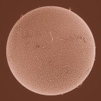 Sonne in H-alpha am 19.08.2023 (invertiert)