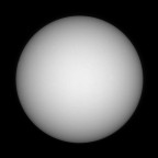 fast fleckenfreie Sonne 25.02.2026 - 8" Newton Skywatcher Quattro - Touptek 2600 Color - Weißlicht