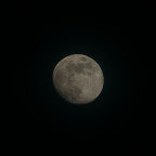 Mond (95%, zunehmend) am frühen Abend des 23.01.2024