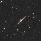 NGC 4565 / Nadelgalaxie