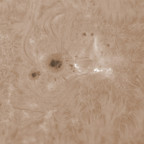 Sonne vom 30.04.2026 in Halpha