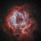 NGC2244 - Der Rosetten Nebel