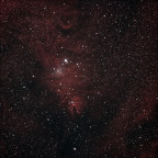 Konusnebel und NGC2264 - Christmas Tree Cluster