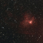 NGC1491 (Fossilien-Fussabdruck-Nebel) - 4 Stunden - Schmalband - OSC ToupTek 2600 Color - Skywatcher 8" Quattro f/4