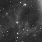 IFN um M81