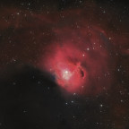 Sh2-297 (aka CED90, vdB94, Gum3) die Flügelspitze der Möwe (RGBHa)