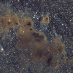 Sandqvist 156 Dunkelnebel-Komplex im Sternbild Chamäleon (LRGB-Aufnahme)