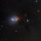 Embryo Nebel NGC1333