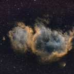 IC1848 SHO