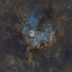 Sh2-124 in SHO