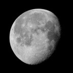 D7A_1901_bw