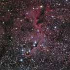 IC 1396A "Elefantenrüsselnebel"
