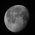 D7A_1902_bw