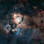 IC1795 - The Fish Head Nebula