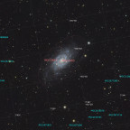 NGC2403 (Crop) - annotiert