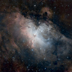 Adler Nebel "Langzeit"
