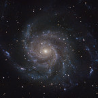 M101 mit dem C11