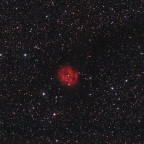 IC 5146 Cocoon Nebel mit Dunkelnebel Barnard 168 im Schwan: 2h IDAS V4-Filter + 2h 20 min Optolong l-pro gemischt; 8" f/4 Newton mit Canon 600da; 05.06.22 + 21.06.22