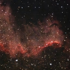 NGC 7000