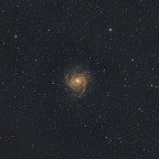 IC342 "The Hidden Galaxy" mit den Seestar S30Pro