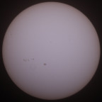 Sonne 04.06.2023 - 8" Newton - Weißlicht - Einzelbild